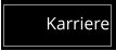 Karriere